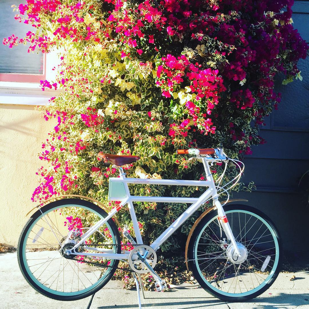 Instagram Image