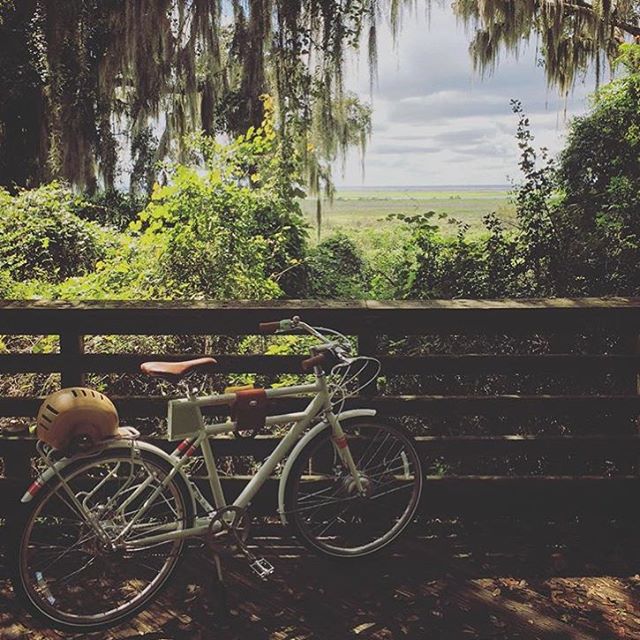 Instagram Image