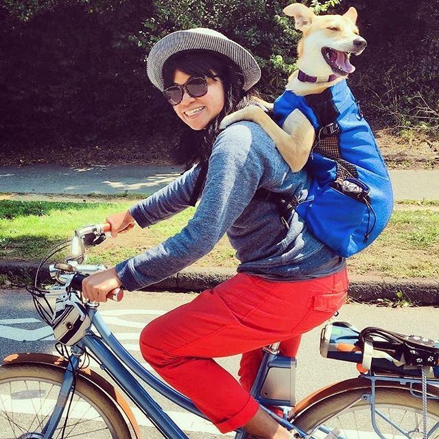 Shout out to bike buddies 🐾 #faraday #freeride #dogsonbikes
________
📷 @_bemsha
